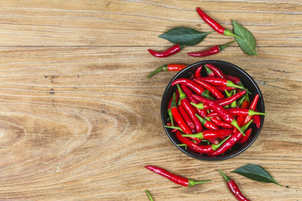 Plántula de ají consejos y cuidados - Agriplant de Colombia